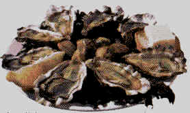 huître.gif (13435 octets)